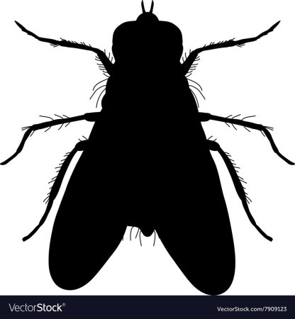 Силуэты насекомых