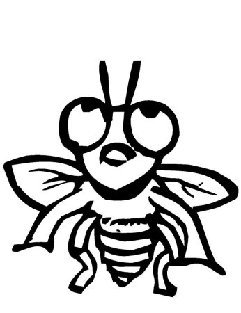 Муха раскраска