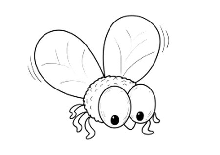 Муха картинка раскраска