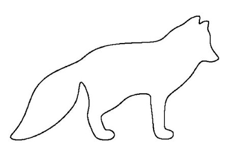 Контуры животных