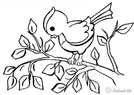 Весенние раскраски