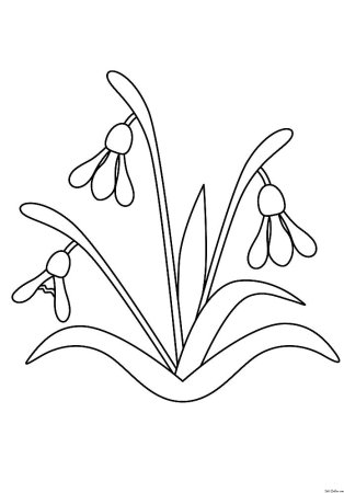 Ландыш раскраска для детей