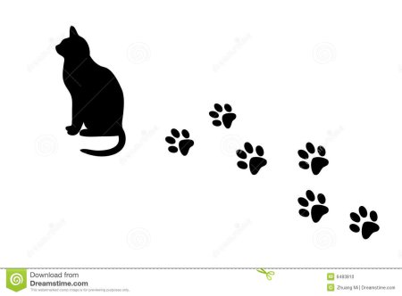 Кошачьи следы и силуэты трафарет