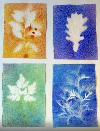 Набрызг осень