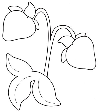 Куст земляники раскраска для детей