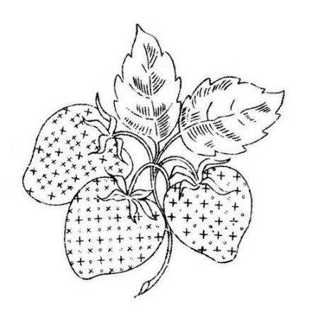 Земляника раскраска