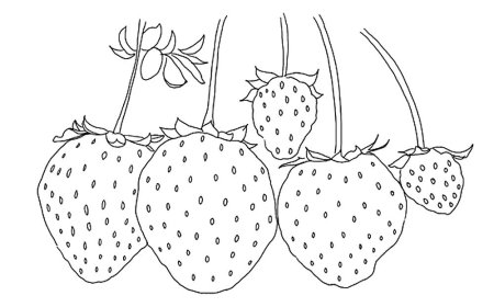 Трафареты цветов и ягод