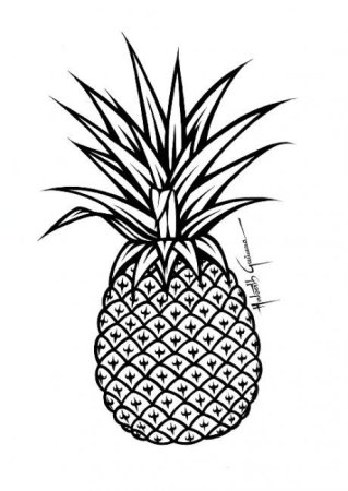 Ананас крупнохохолковый