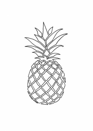 Ананас эскиз
