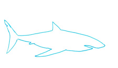 Акула шаблон