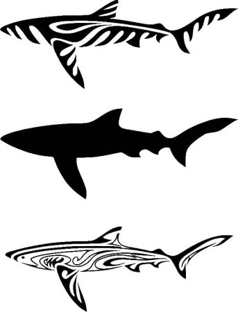 Графическая акула