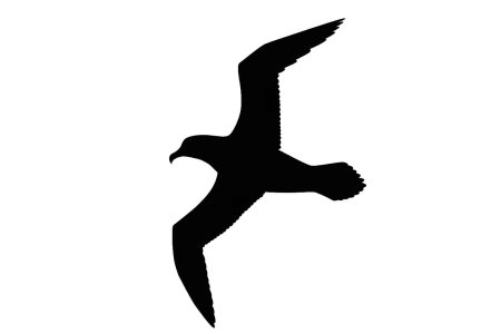 Трафарет Чайки