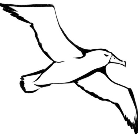 Трафарет Чайки