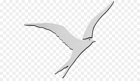 Трафарет Чайки