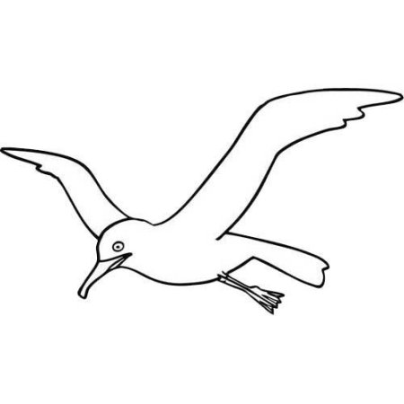 Контур Чайки