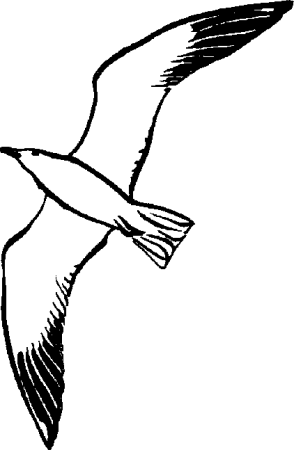 Чайка трафарет