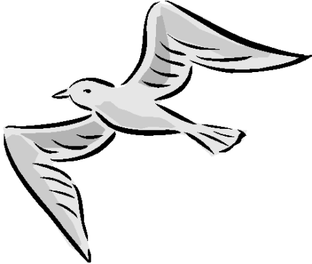 Чайки карандашом