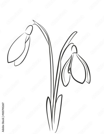 Подснежники рисунок