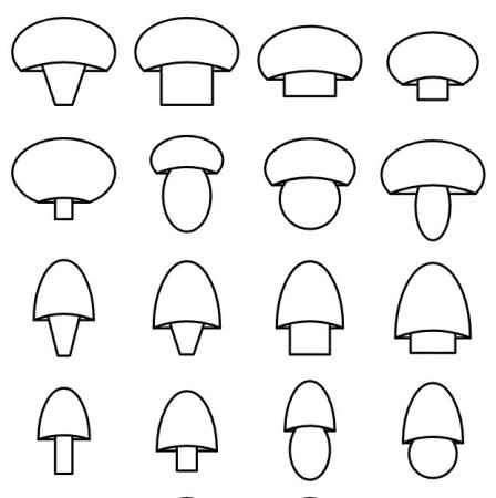 Шаблоны грибов