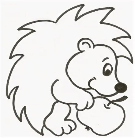 Ёжик раскраска для детей