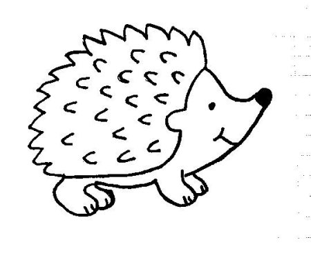 Еж черно белый для детей