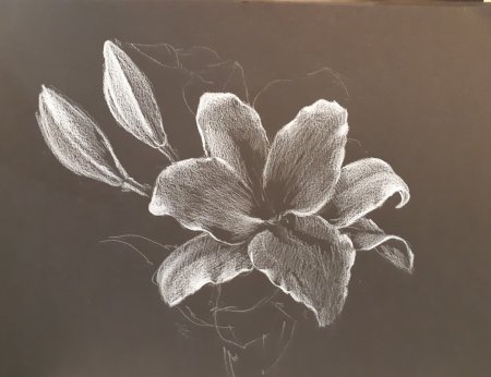 Цветы пастелью на черном фоне