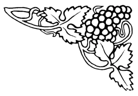 Виноградная лоза DXF