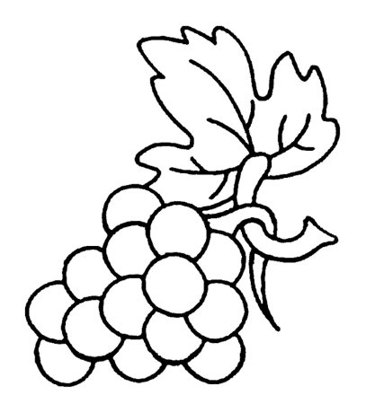 Виноград раскраска