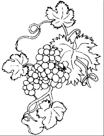 Трафарет Виноградная лоза