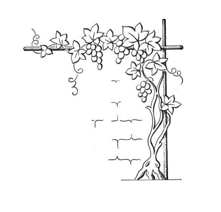 Резьба по дереву эскизы