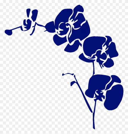 Орхидея контурная