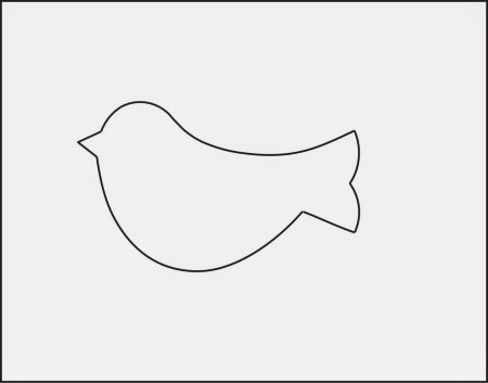 Птица контур