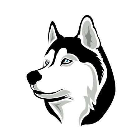 Сибирский хаски