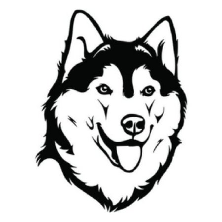 Эскиз морда собаки