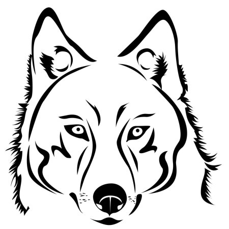 Очертания морды волка