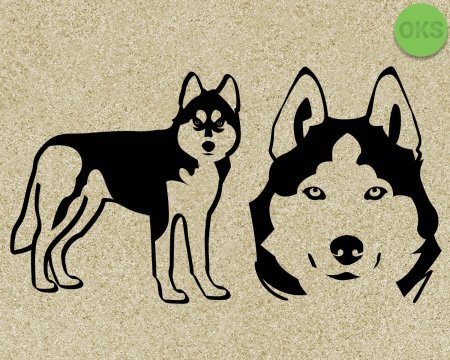 Гравюра хаски