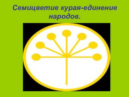Символ Башкирии цветок курая