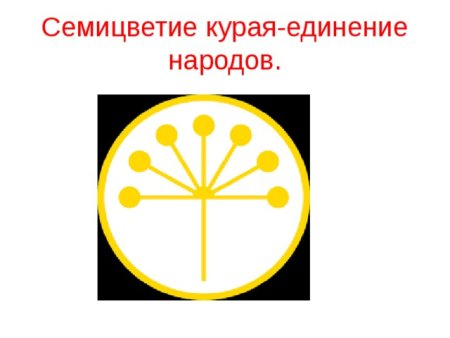 Цветок курая шаблон