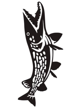 Трафарет щуки