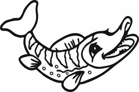 Щука раскраска