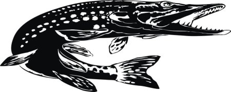 Щука силуэт