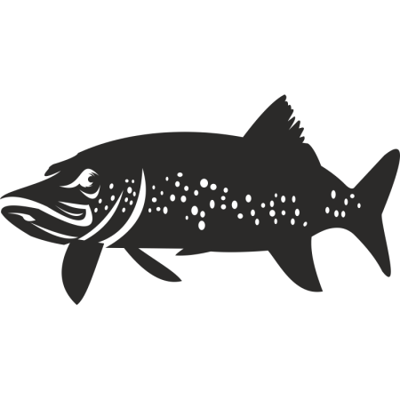 Силуэт рыбы
