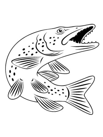 Щука эскиз для выжигания