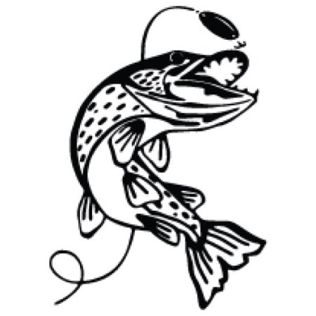 Щука черно белая