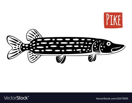 Стилизованная щука