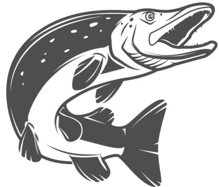 Рыба щука вектор