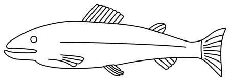 Контур рыбки щуки