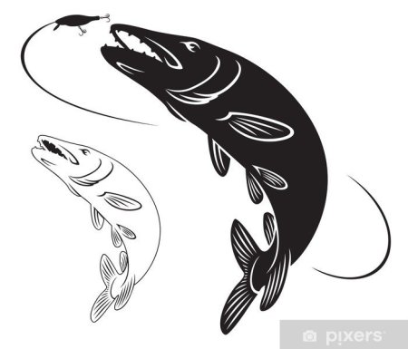 Щука силуэт