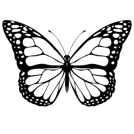 Трафареты бабочки