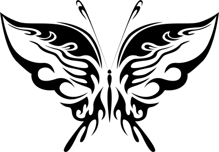 Орнамент бабочки
